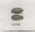 Click for 1 image(s) for this accession. FRUIT